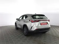Usata Lexus NX350h Business Edition 190 CV (139 kW) 2026 Sonic titanium SUV