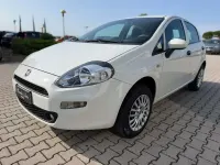 Usata Fiat Punto Lounge 77 CV (56 kW) 2016 Bianco Utilitaria