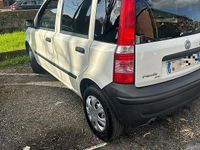 Usata Fiat Panda 2008 Bianco Utilitaria