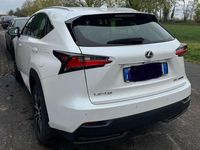Usata Lexus NX300h Executive Line 155 CV (114 kW) 2017 Bianco SUV