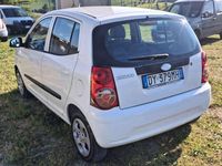 Usata Kia Picanto 63 CV (46 kW) 2010 Bianco Utilitaria