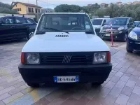 Second-hand Fiat Panda 4x4 Trekking 54 CP (39 kW) 2001 Alb Hatchback