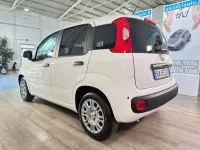 Usata Fiat Panda 69 CV (50 kW) 2025 Bianco Utilitaria