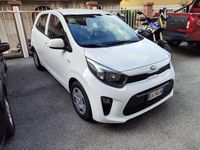 Usata Kia Picanto Urban 67 CV (49 kW) 2020 .bianco Utilitaria