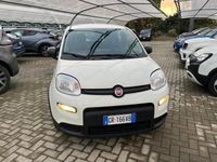 Usata Fiat Panda S 69 CV (50 kW) 2023 Bianco Utilitaria