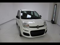 Usata Fiat Panda S 70 CV (51 kW) 2025 Bianco Utilitaria
