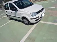 Usata Fiat Panda 69 CV (50 kW) 2013 Utilitaria