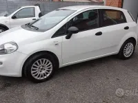 Usata Fiat Punto Evo 85 CV (62 kW) 2014 Bianco Utilitaria