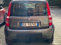Usata Fiat Panda 4x4 Climbing 75 CV (55 kW) 2011 Grigio Utilitaria