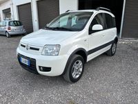 Usata Fiat Panda 4x4 Climbing 75 CV (55 kW) 2012 Bianco Utilitaria
