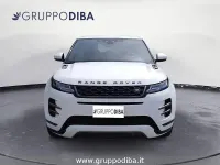 Usata Land Rover Range Rover evoque SE Dynamic 150 CV (110 kW) 2019 Bianco SUV