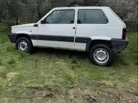 Usata Fiat Panda 4x4 Trekking 54 CV (39 kW) 1999 Bianco Utilitaria