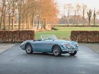Usata Austin Healey 100 105 CV (77 kW) 1955 Blu Cabrio