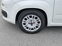 Usata Fiat Panda S 70 CV (51 kW) 2021 Bianco Utilitaria