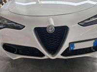 Usata Alfa Romeo Stelvio 210 CV (154 kW) 2023 Bianco SUV
