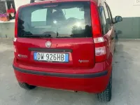 Usata Fiat Panda Dynamic 60 CV (44 kW) 2009 Rosso Utilitaria