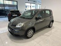Usata Fiat Panda S 69 CV (50 kW) 2023 Grigio Utilitaria