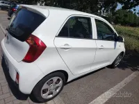 Usata Kia Picanto City 66 CV (48 kW) 2016 Bianco Utilitaria