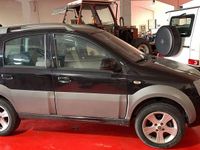 Usata Fiat Panda 4x4 Cross 75 CV (55 kW) 2011 Verde / metallizzato Utilitaria