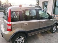 Usata Fiat Panda 4x4 Climbing 69 CV (50 kW) 2011 Bronzo Utilitaria