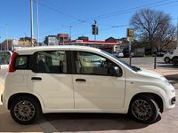 Usata Fiat Panda Easy 95 CV (69 kW) 2018 Bianco Utilitaria