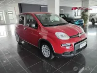 Usata Fiat Panda S 70 CV (51 kW) 2025 Rosso Utilitaria