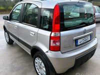 Usata Fiat Panda 4x4 69 CV (50 kW) 2006 Grigio Utilitaria