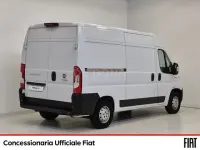 Usata Fiat Ducato 33 160 CV (117 kW) 2020 Bianco Furgone
