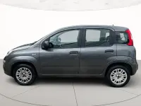 Usata Fiat Panda Lounge 69 CV (50 kW) 2019 Utilitaria