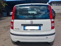 Usata Fiat Panda 2010 Utilitaria