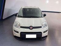 Usata Fiat Panda S 69 CV (50 kW) 2023 Bianco Utilitaria