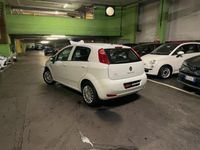 usata Fiat Punto 1.2 8V 5 porte Neopatentati