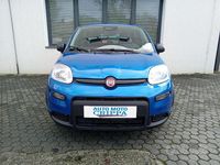 Nuova Fiat Panda S 70 CV (51 kW) 2025 Blu Utilitaria