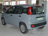 Usata Fiat Panda 70 CV (51 kW) 2022 Grigio Utilitaria
