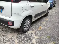 Usata Fiat Panda 69 CV (50 kW) 2014 Utilitaria