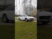 Usata Ferrari 250 243 CV (178 kW) 1964 Bianco Coupé