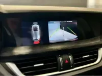 Usata Alfa Romeo Stelvio Business 160 CV (117 kW) 2020 Other SUV