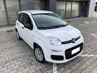 usata Fiat Panda 1.2 benzina 69cv