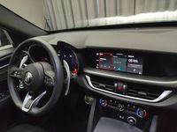 Usata Alfa Romeo Stelvio Sprint 210 CV (154 kW) 2025 Verde SUV