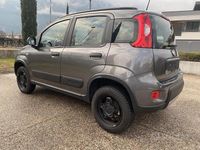 Usata Fiat Panda 4x4 Wild 86 CV (63 kW) 2022 Grigio Utilitaria