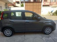 Usata Fiat Panda 2023 Grigio Utilitaria