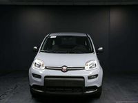 Usata Fiat Panda S 69 CV (50 kW) 2023 Grigio Berlina