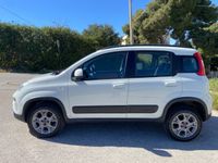 Usata Fiat Panda 4x4 S 75 CV (55 kW) 2013 Bianco Utilitaria