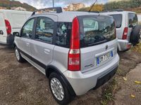 Usata Fiat Panda 4x4 59 CV (43 kW) 2008 Grigio Utilitaria