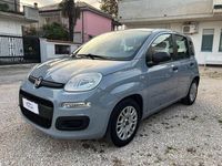 Usata Fiat Panda Easy 70 CV (51 kW) 2020 Grigio Utilitaria