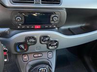 Usata Fiat Panda 2020 Blu Utilitaria