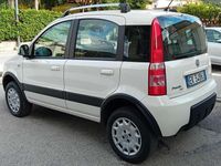 Usata Fiat Panda 4x4 Climbing 60 CV (44 kW) 2011 Bianco Utilitaria