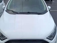 Usata Ford Ecosport ST-Line 125 CV (91 kW) 2021 SUV
