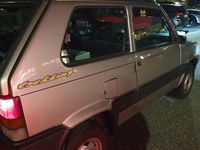 Usata Fiat Panda 4x4 Trekking 54 CV (39 kW) 2001 Grigio Utilitaria