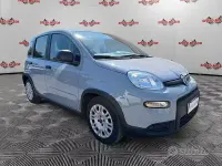 Usata Fiat Panda 70 CV (51 kW) 2023 Grigio Utilitaria